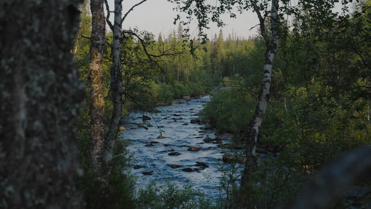 rivière dans l'Oural prépolaire
