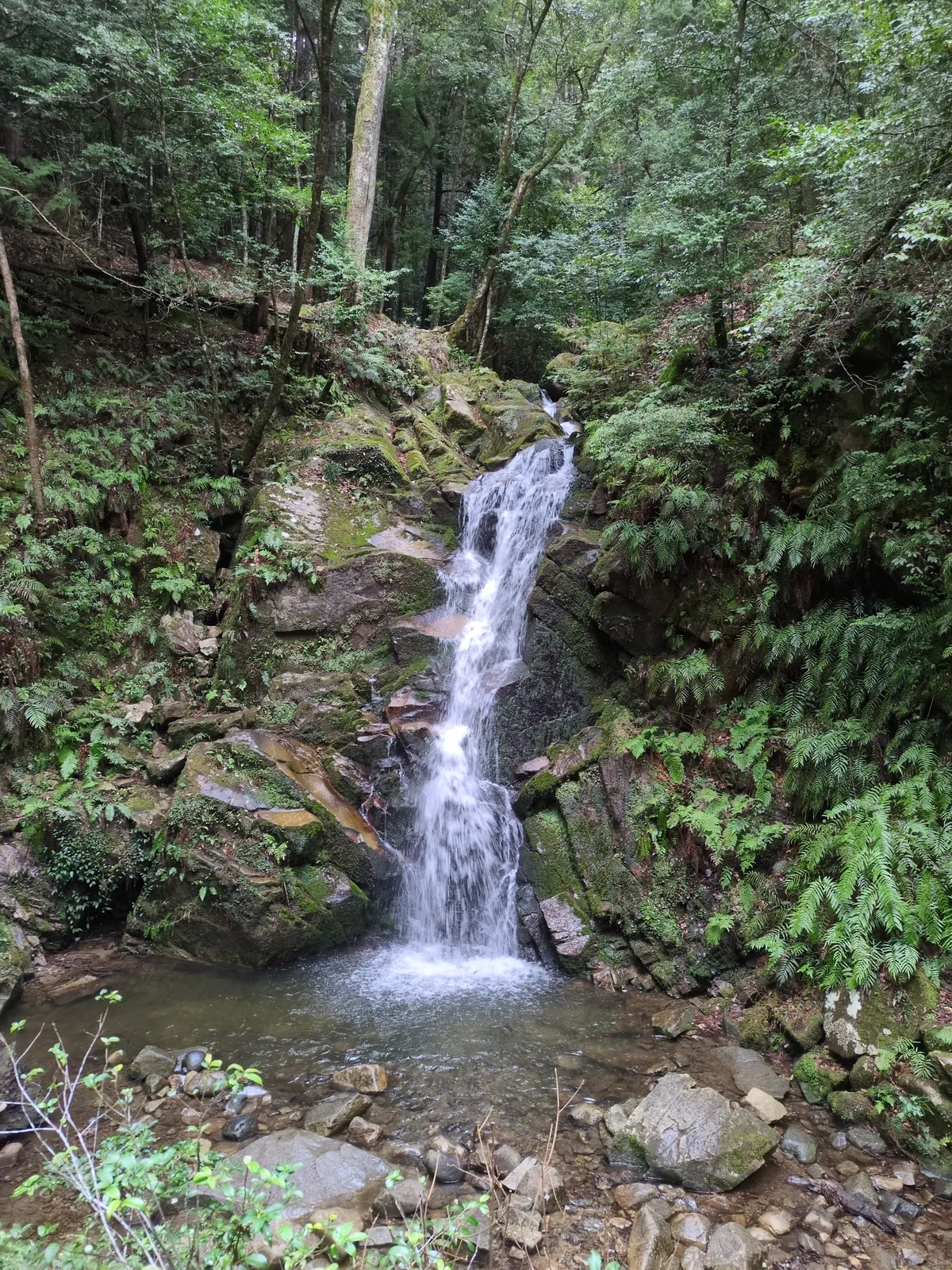 IMG_20260326_114646_565