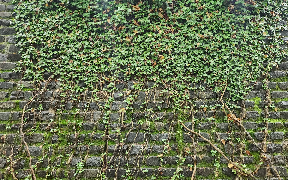 20260524_113402