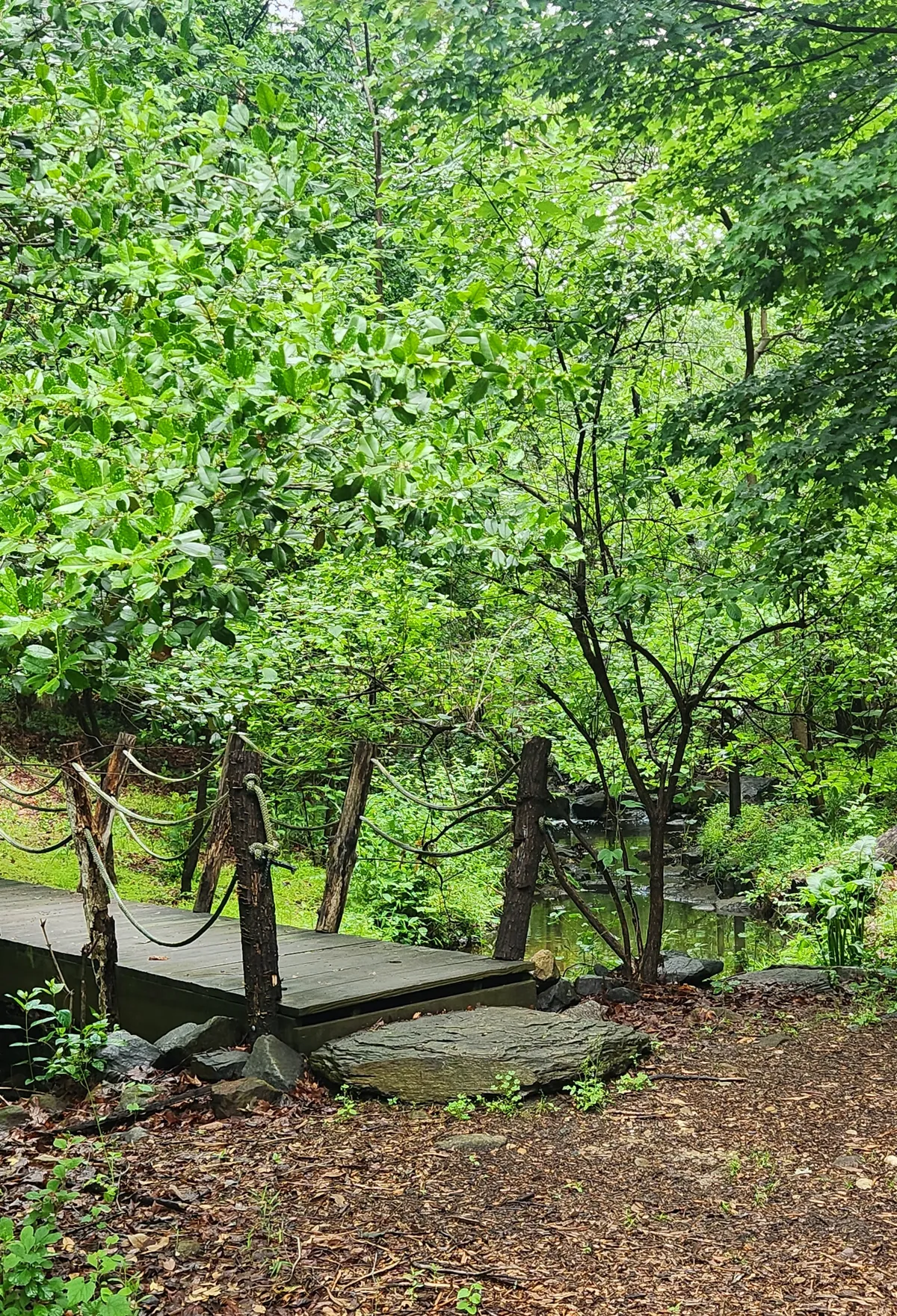 20260524_115851