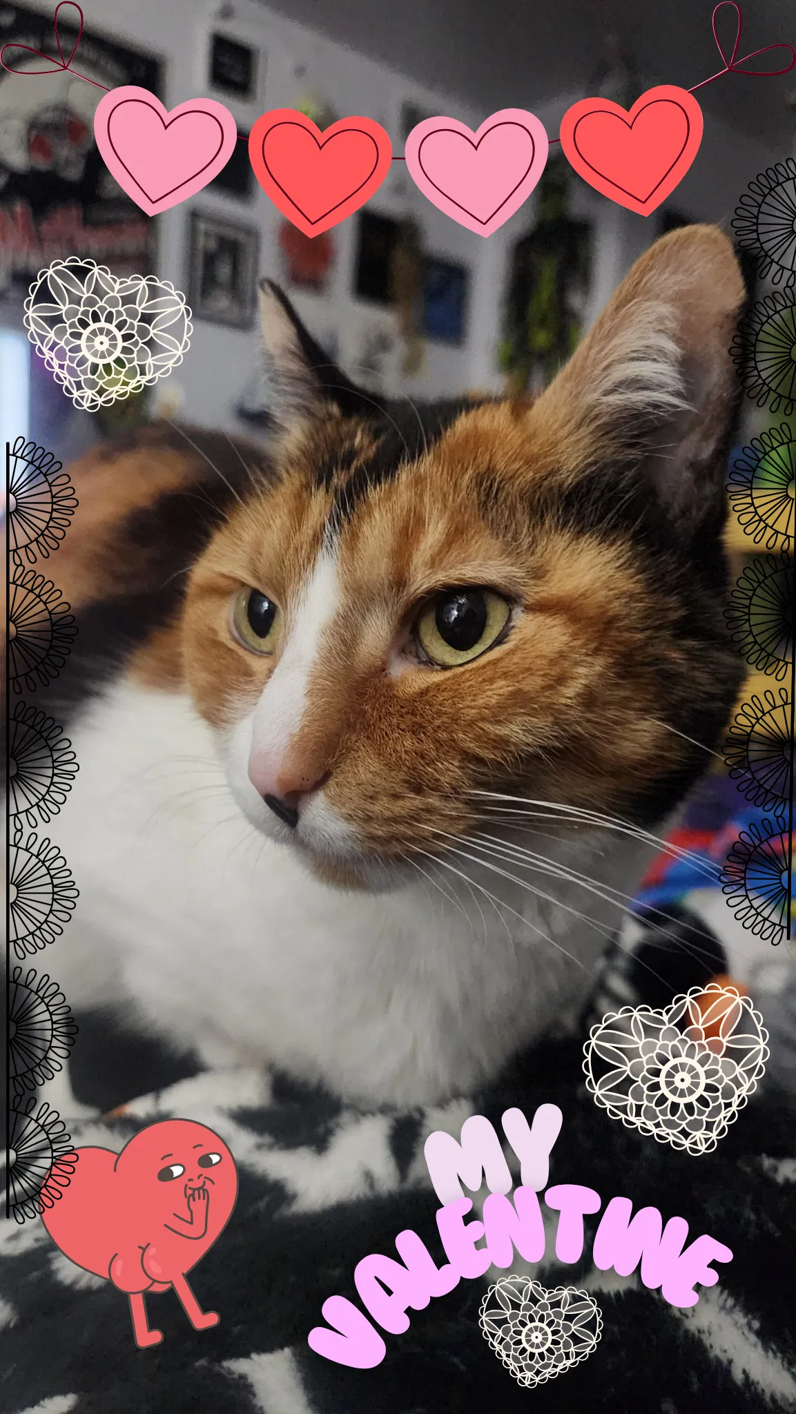 Valentine_20260214_203106_0000