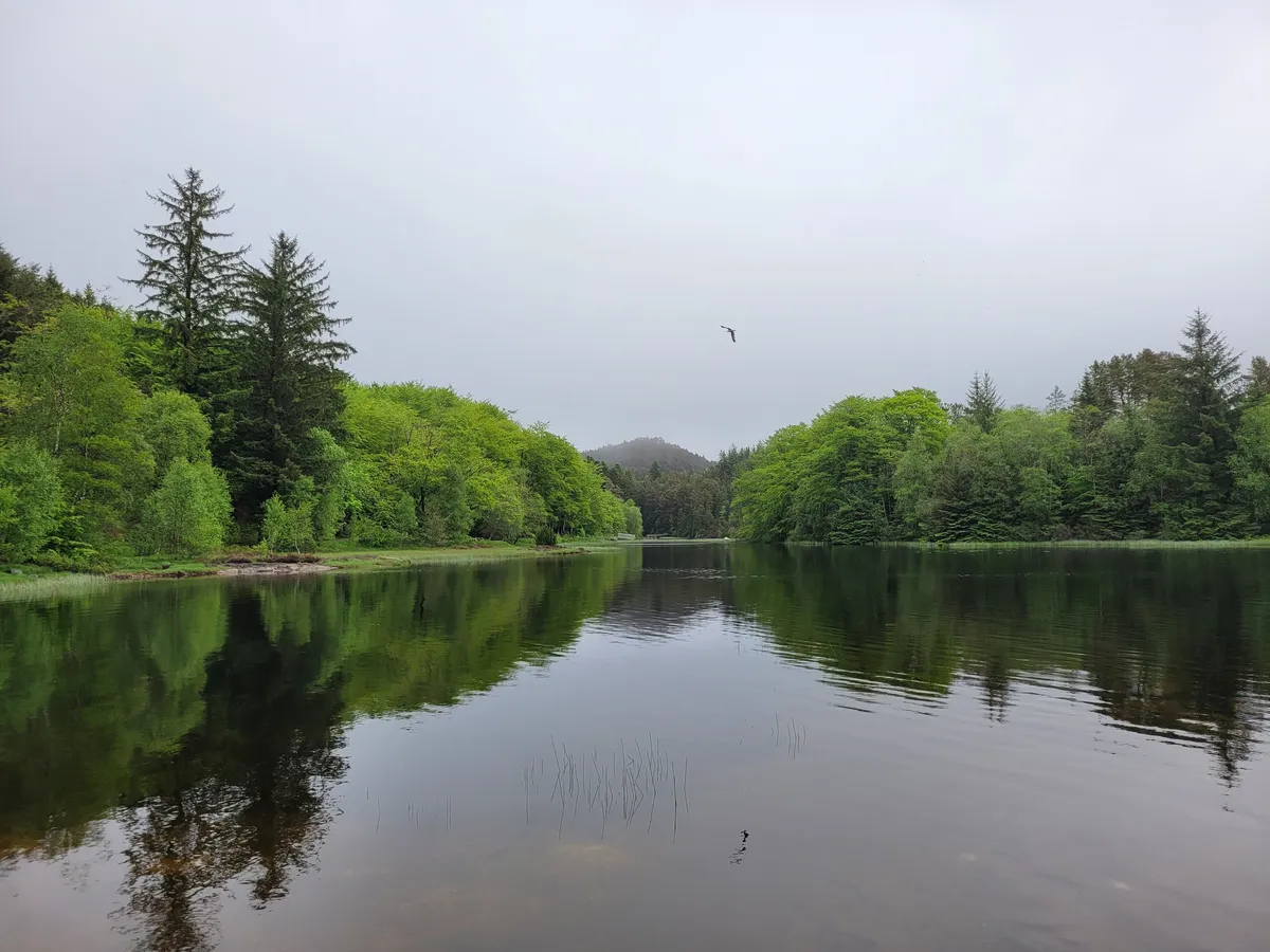 The lake at the start of my walk, surrounded by forest, under the cloudy sky