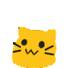 bouncing cat