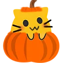 cat in a pumpkin