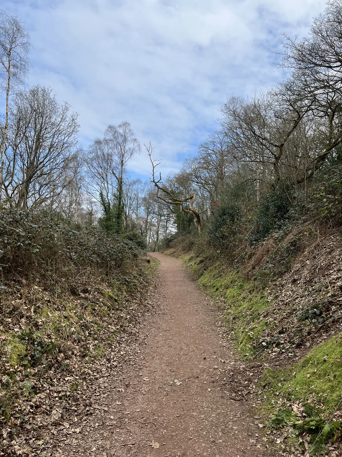 View along a path at Kinver Edge