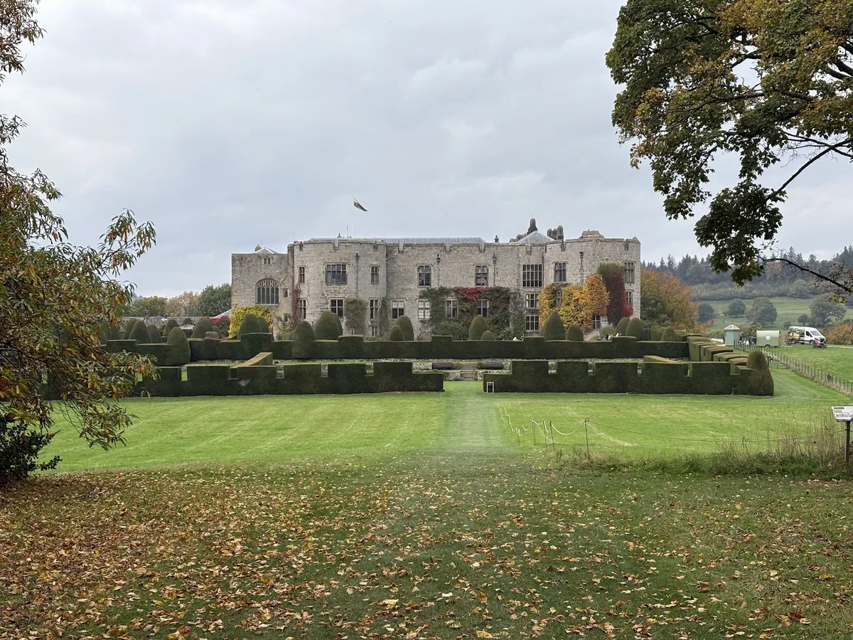 Description of chirk-1