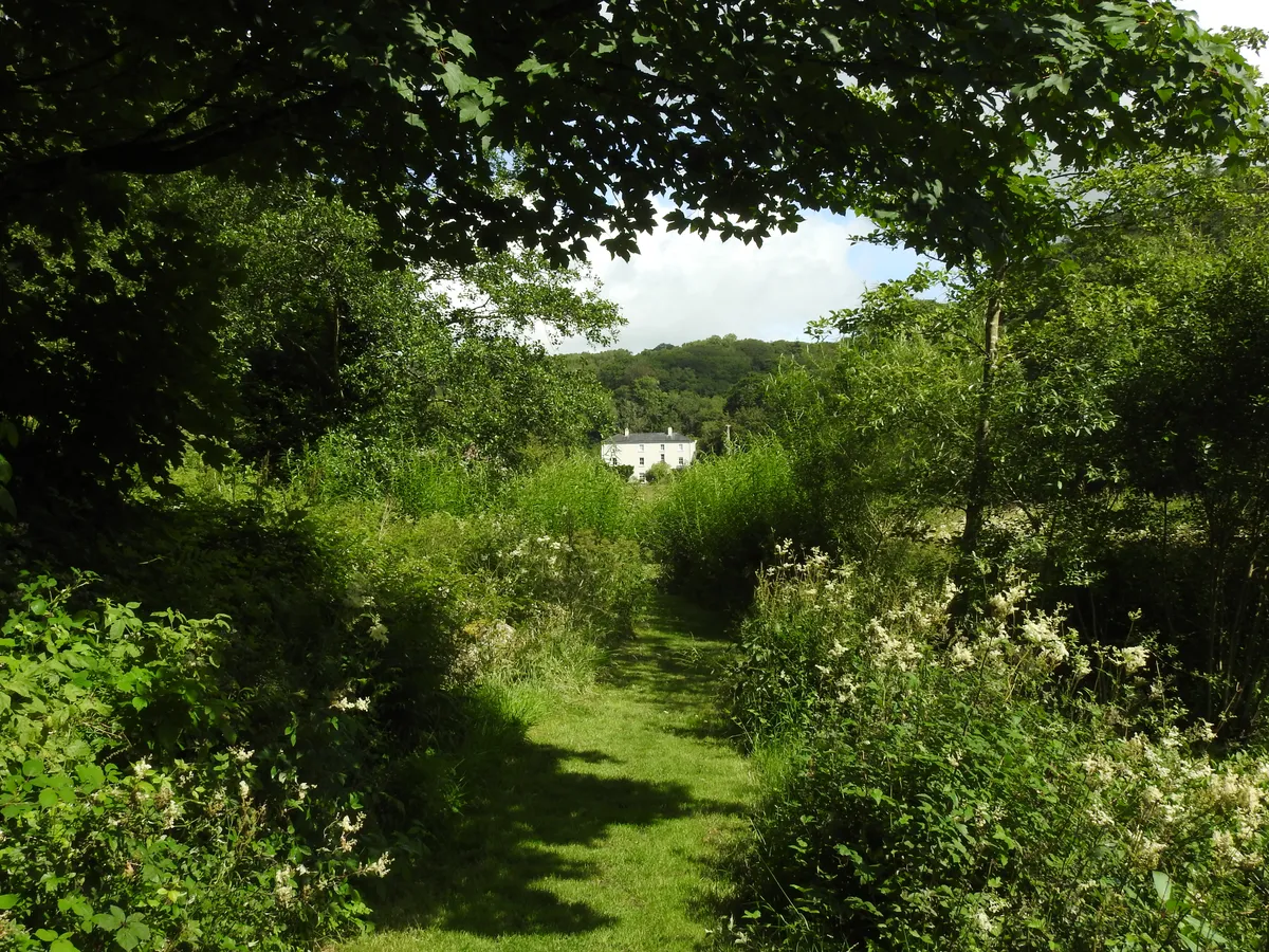 Another view of Colby Lodge, this time framed by an archway of trees at the end of a mown grass path that winds between banks of frothy meadowsweet. The white house sits in the distance against a backdrop of densely wooded hillside. Dappled sunlight falls across the track.