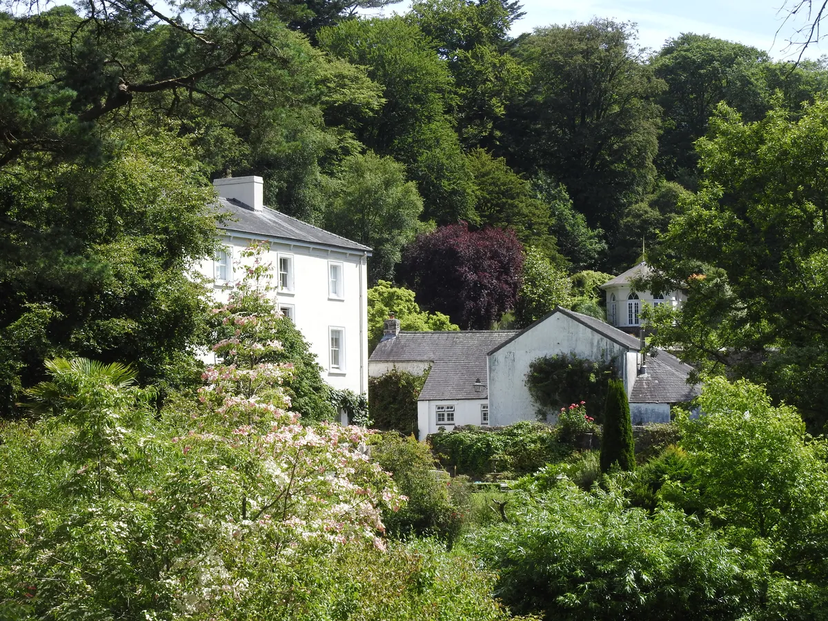 The white-painted Colby Lodge glimpsed through the trees, its cluster of outbuildings half hidden among dense summer foliage. A flowering shrub heavy with pale pink blossom fills the foreground, with a deep red acer adding contrast beyond. The wooded valley rises steeply behind the house.