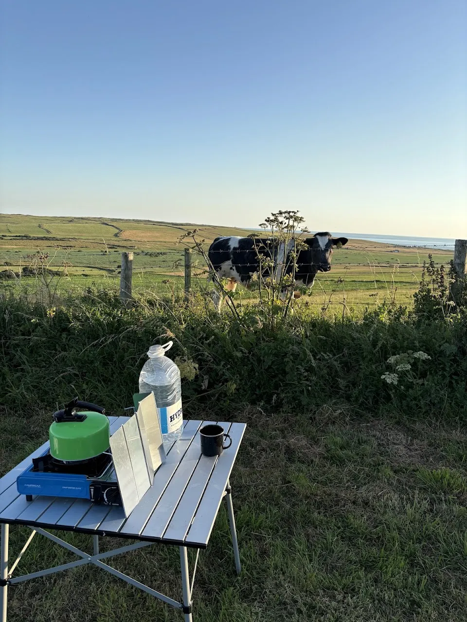 Camping stove setup on grass with kettle, cup, and water container; cow in background near fence with sea view