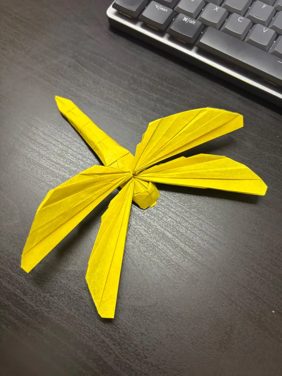 simple-dragonfly-shuki-kato