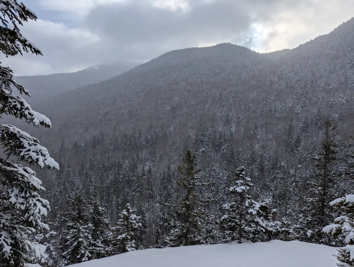 PXL_20241221_181640205