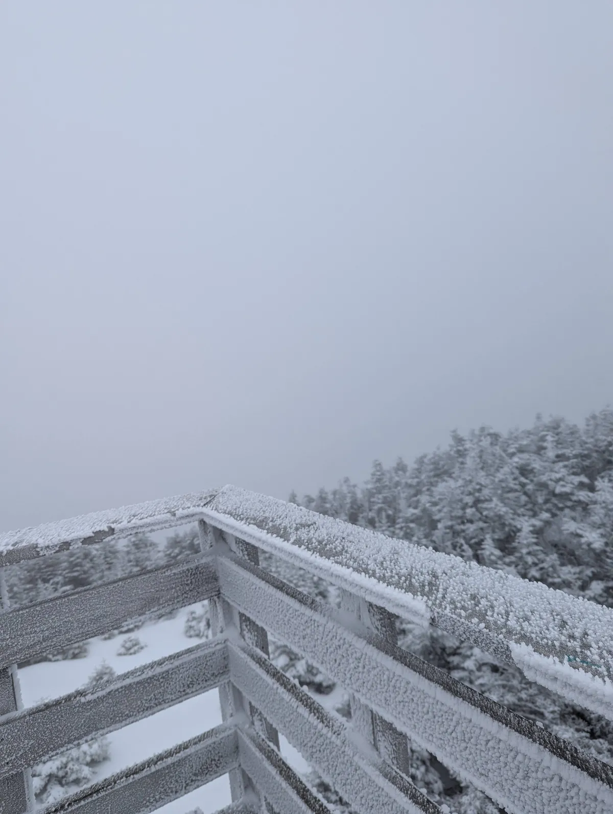 PXL_20250101_175510894