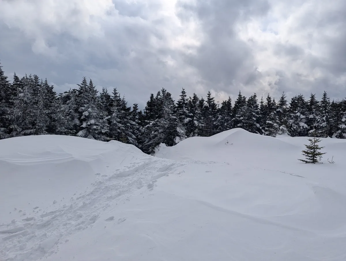 PXL_20250301_174320195