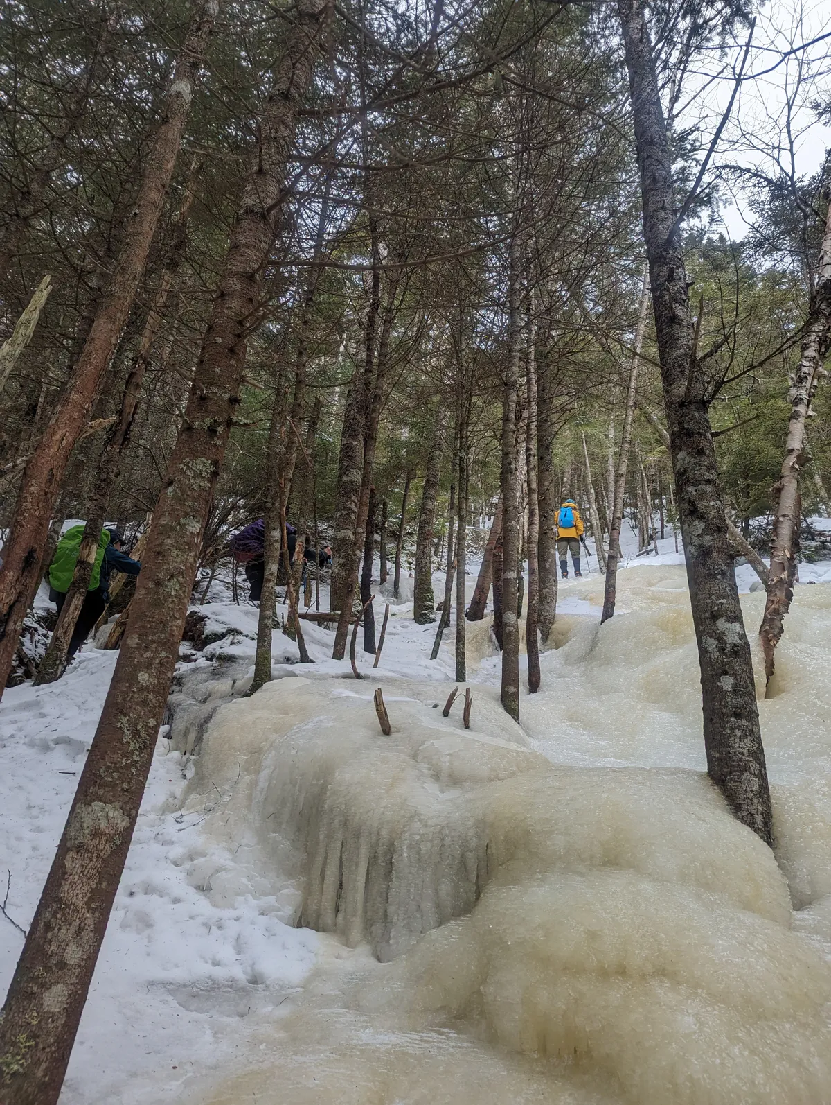 zmdo0ywbjoochenuj6x7