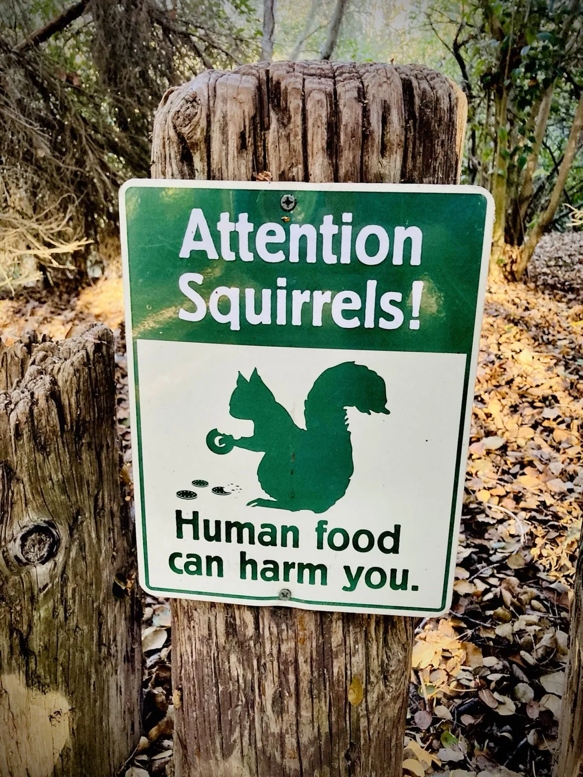A sign on a post at with a squirrel graphic which reads "Attention squirrels: Human food can harm you".