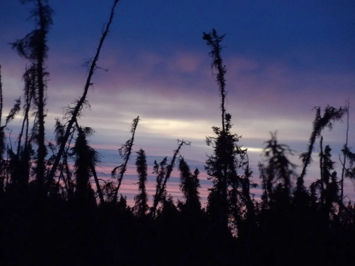 101_0312 - Copy
