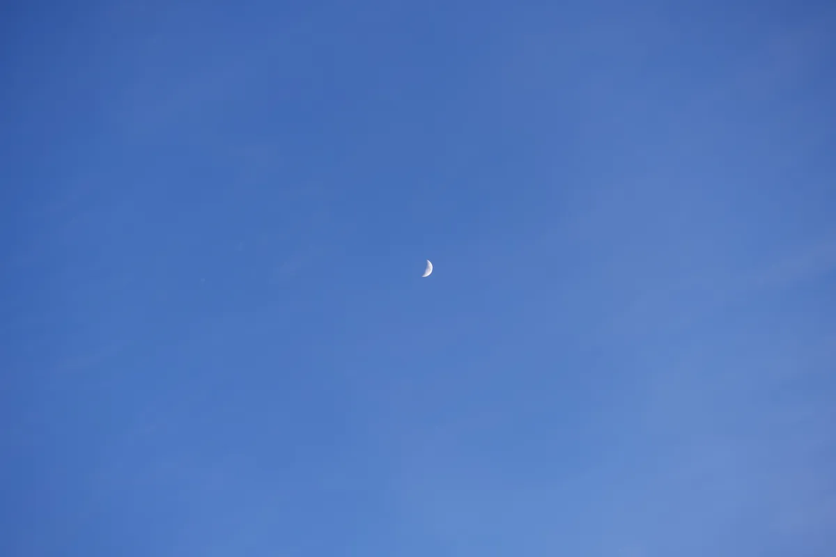 DSC02800