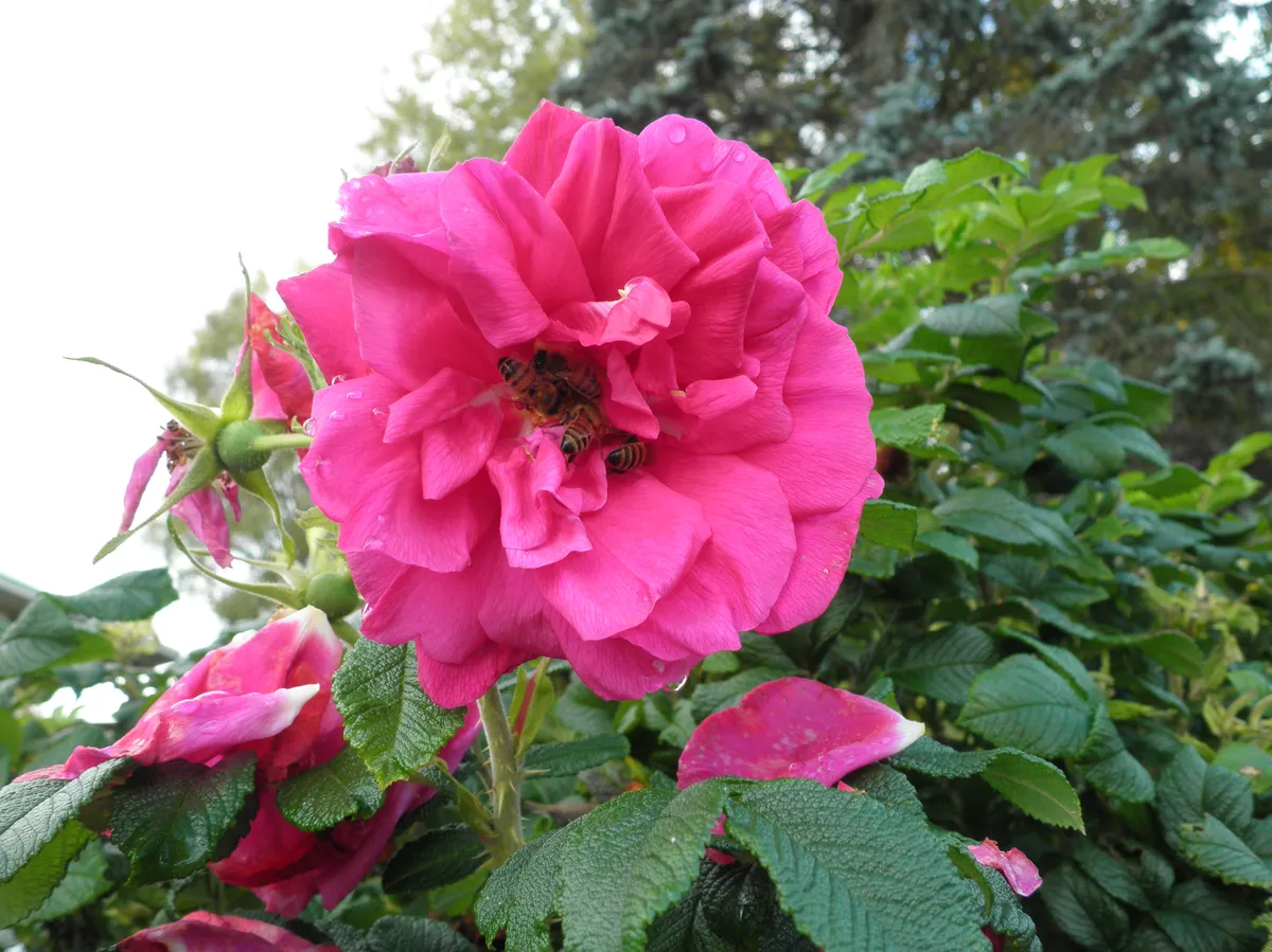 P9100013