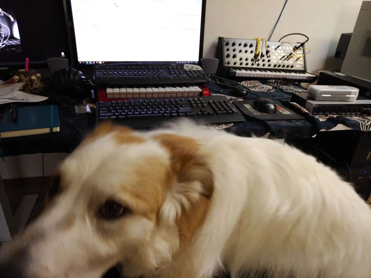 a dog in the foreground with some synthesizers and a computer monitor in the background