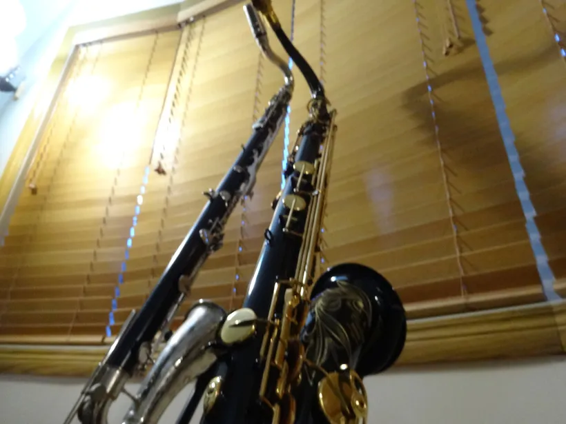 A bass clarinet and tenor saxophone in a stand