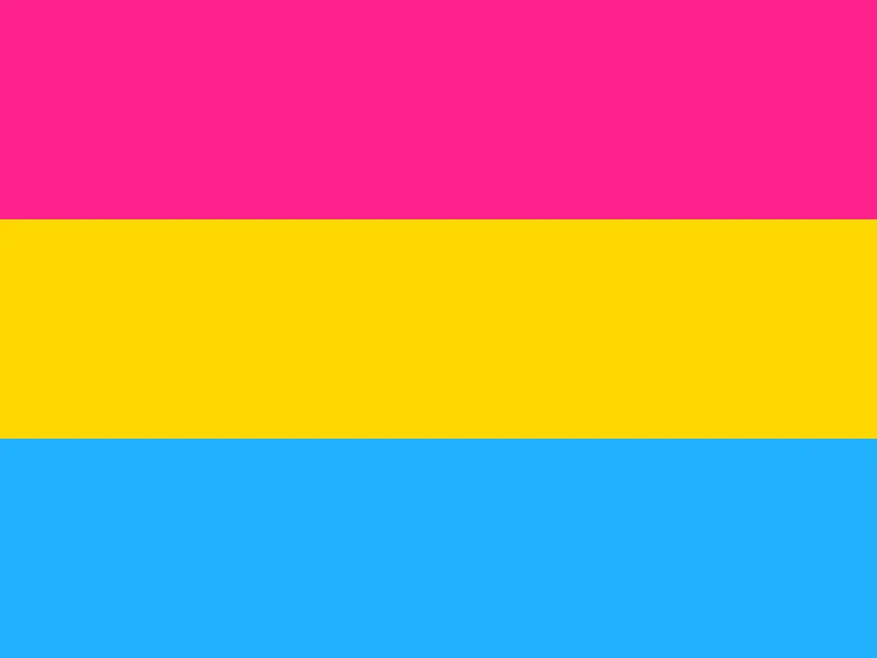 800px-pansexuality_flag-svg
