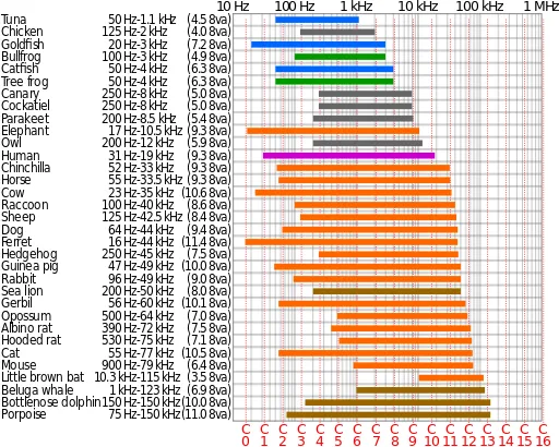Animal Hearing Frequency Range