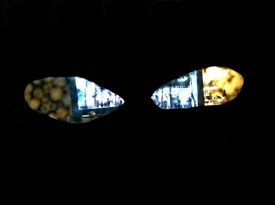 View From A Fursuit Head