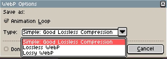 webp_options