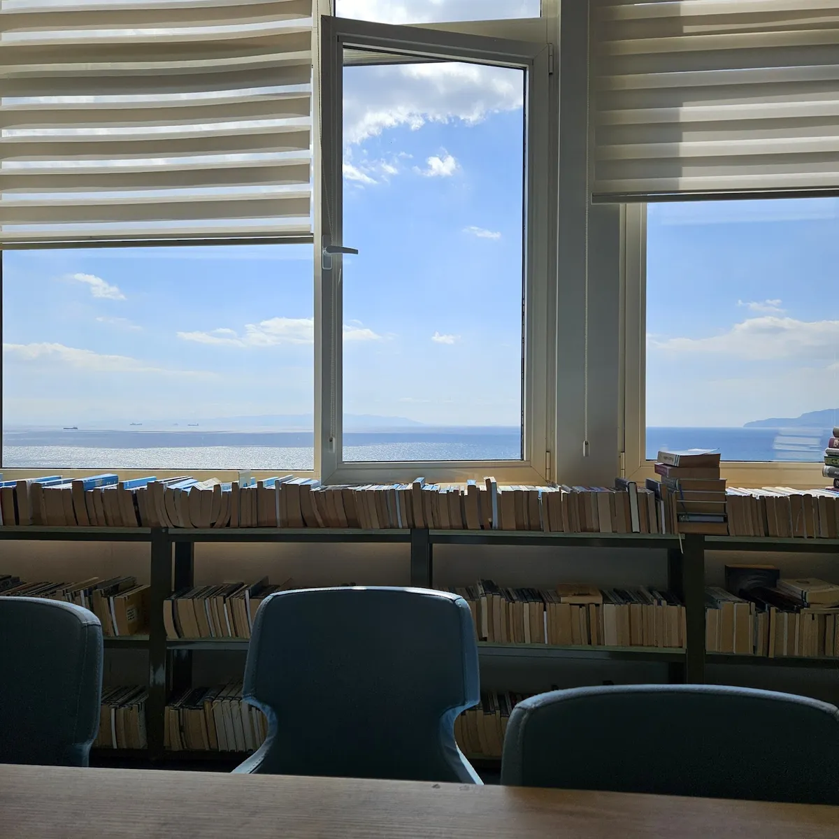 Library 2
