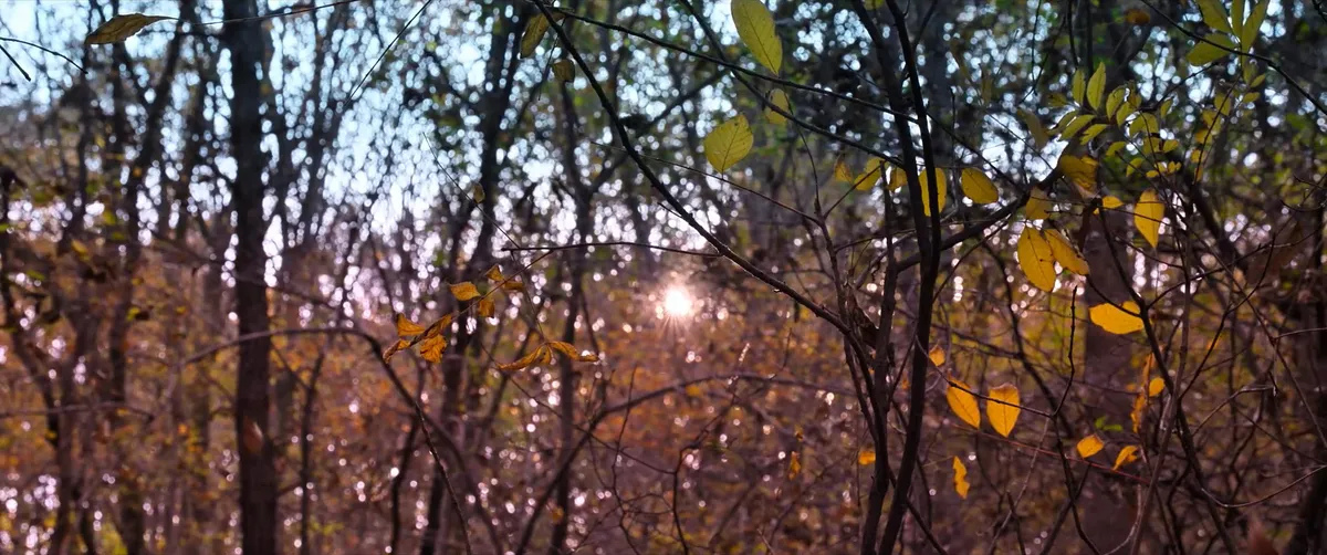 NoOtherChoice2025_59