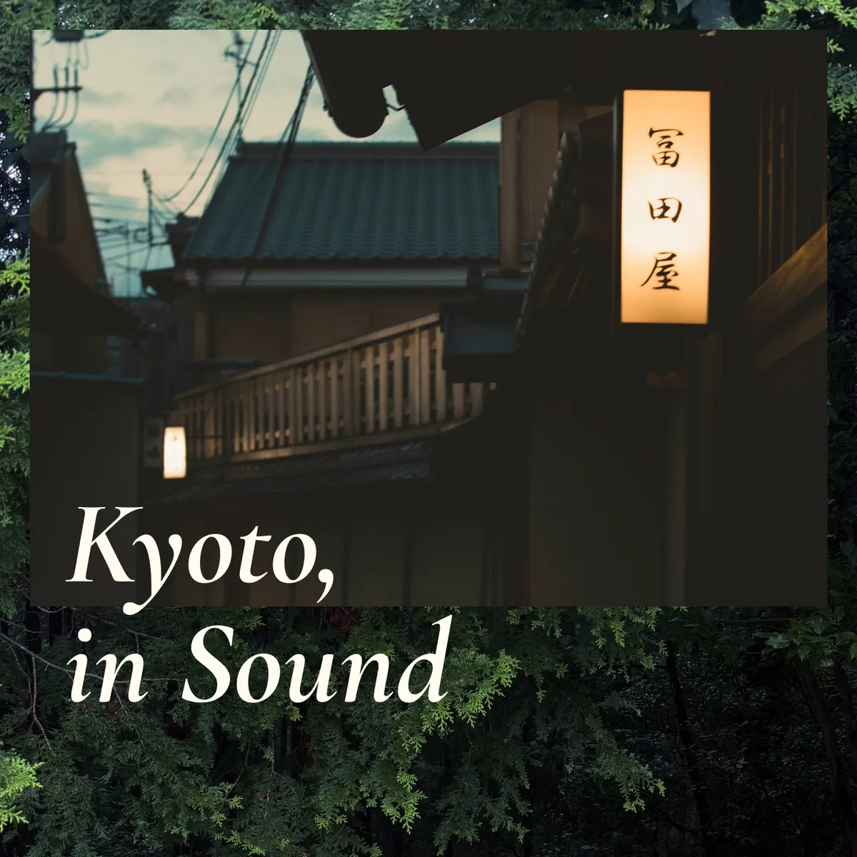 kispod