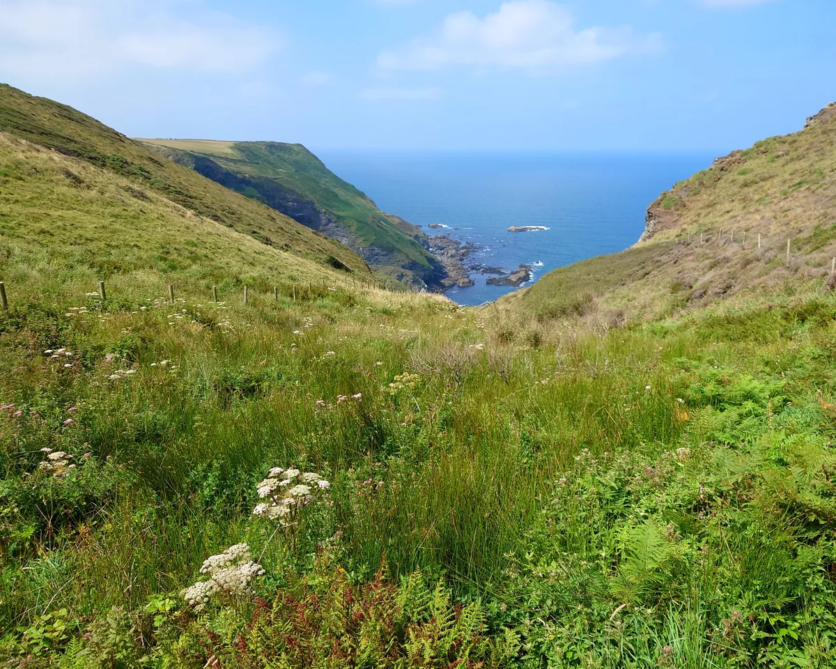 DSC_1504landscape