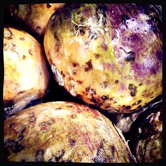 photo of rutabaga