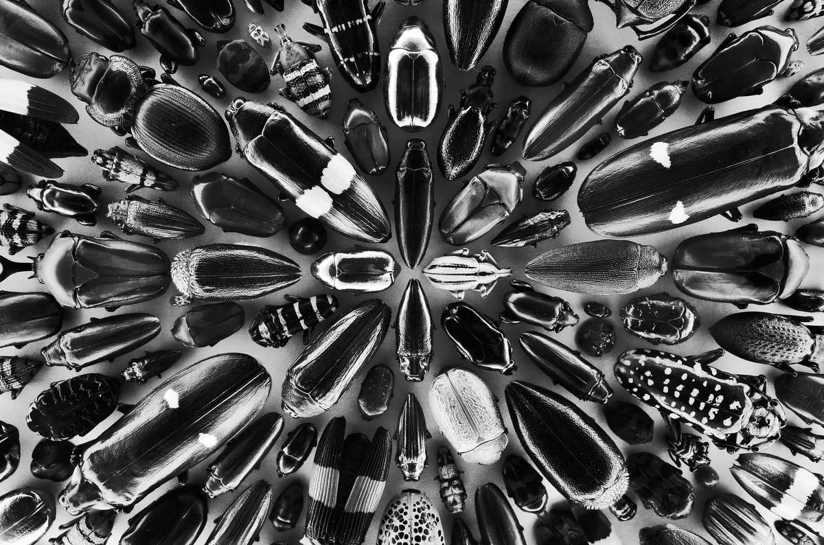 55149662741_24abb3b7ec_k