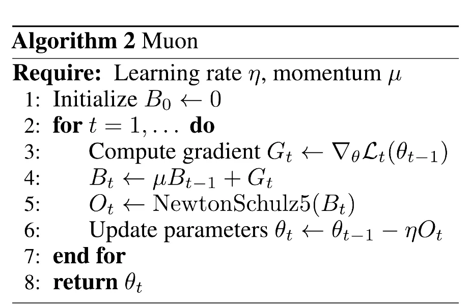 Muon optimizer update equations
