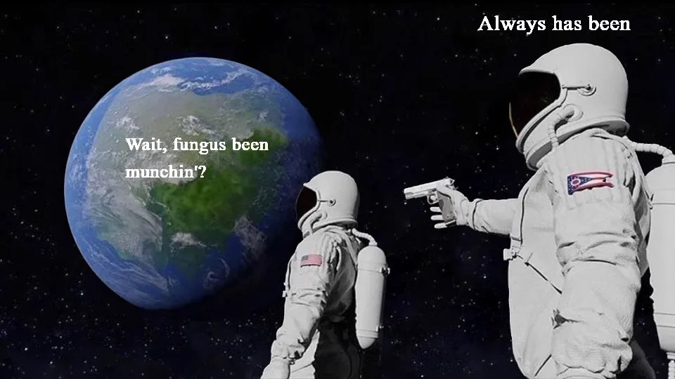 Always Has Been