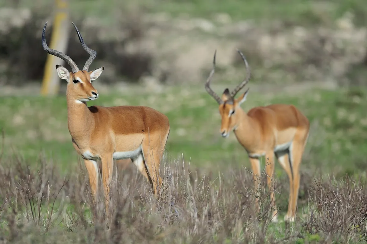 CleanShot 2025-11-29 at 17