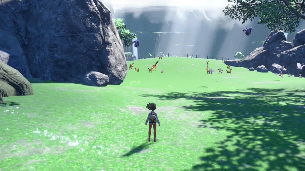 Pokemon Scarlet & Violet Open Field