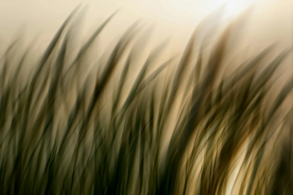 andreas-bergmann-oV7_LcTcRk0-unsplash