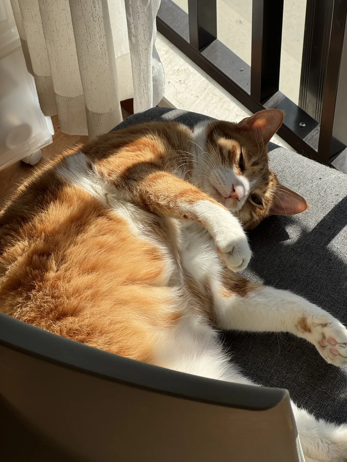 So!azy： 周末流水账 1122