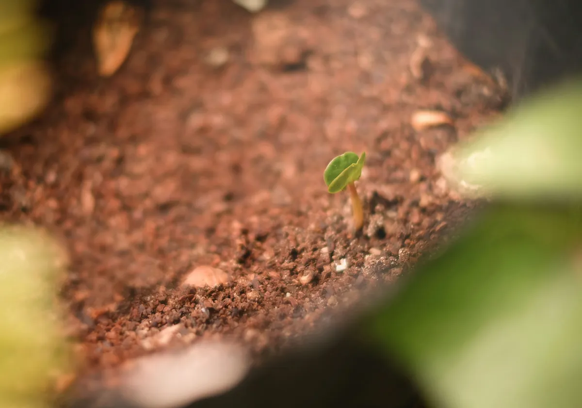 So!azy: 向内自洽,向外破局