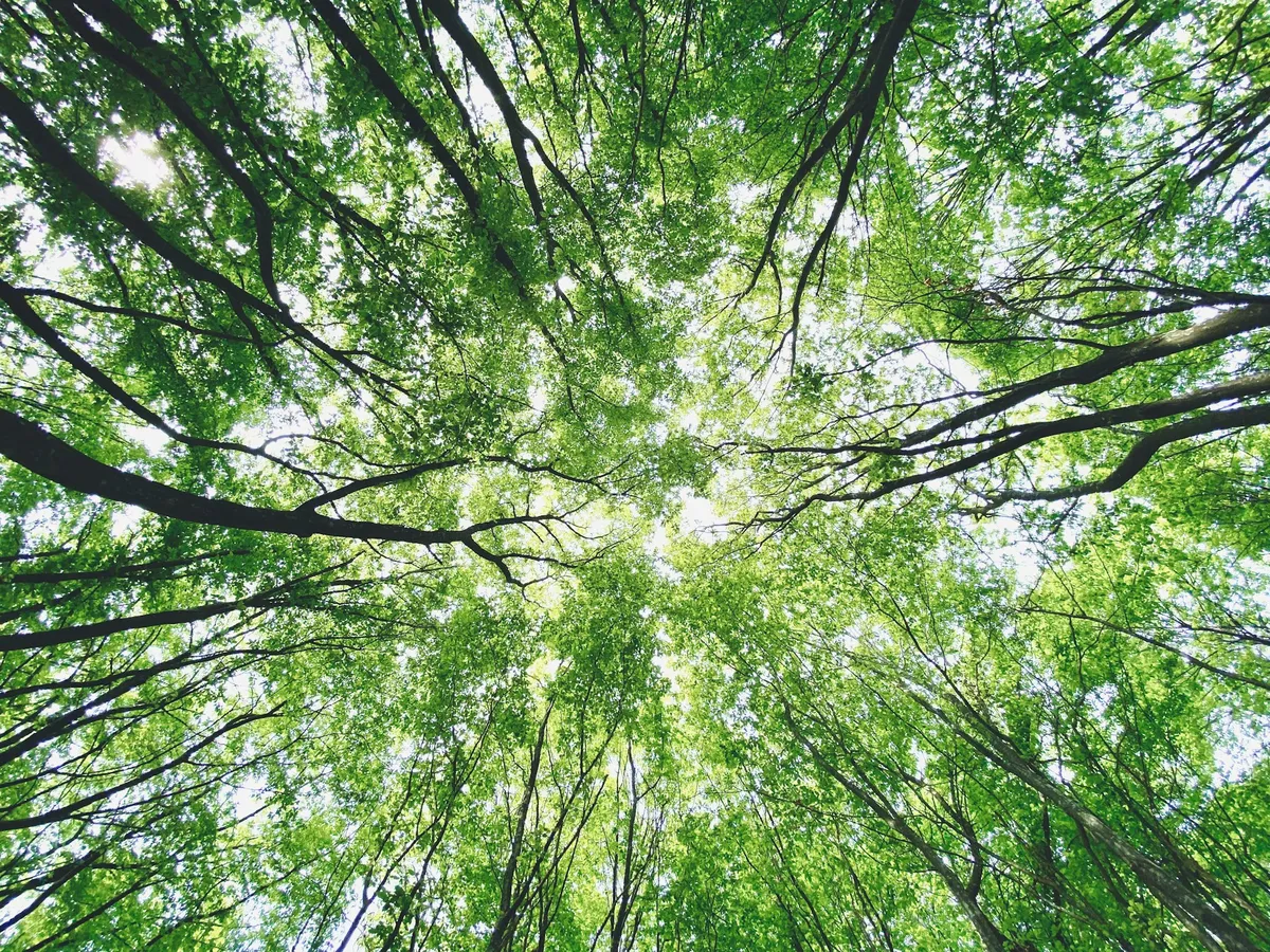 opus-form-uyyRJA2an4o-unsplash