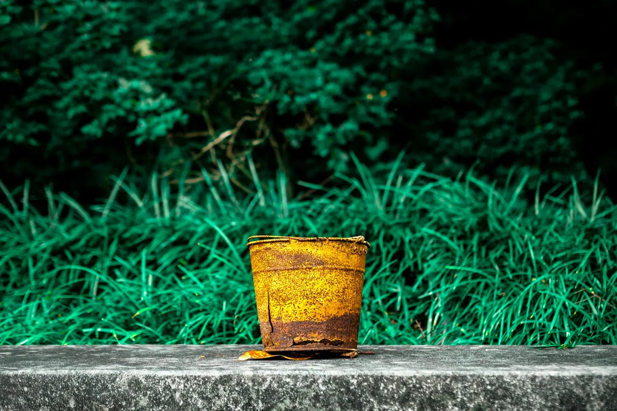 pedro-forester-da-silva-Y8AqKSRYUHQ-unsplash