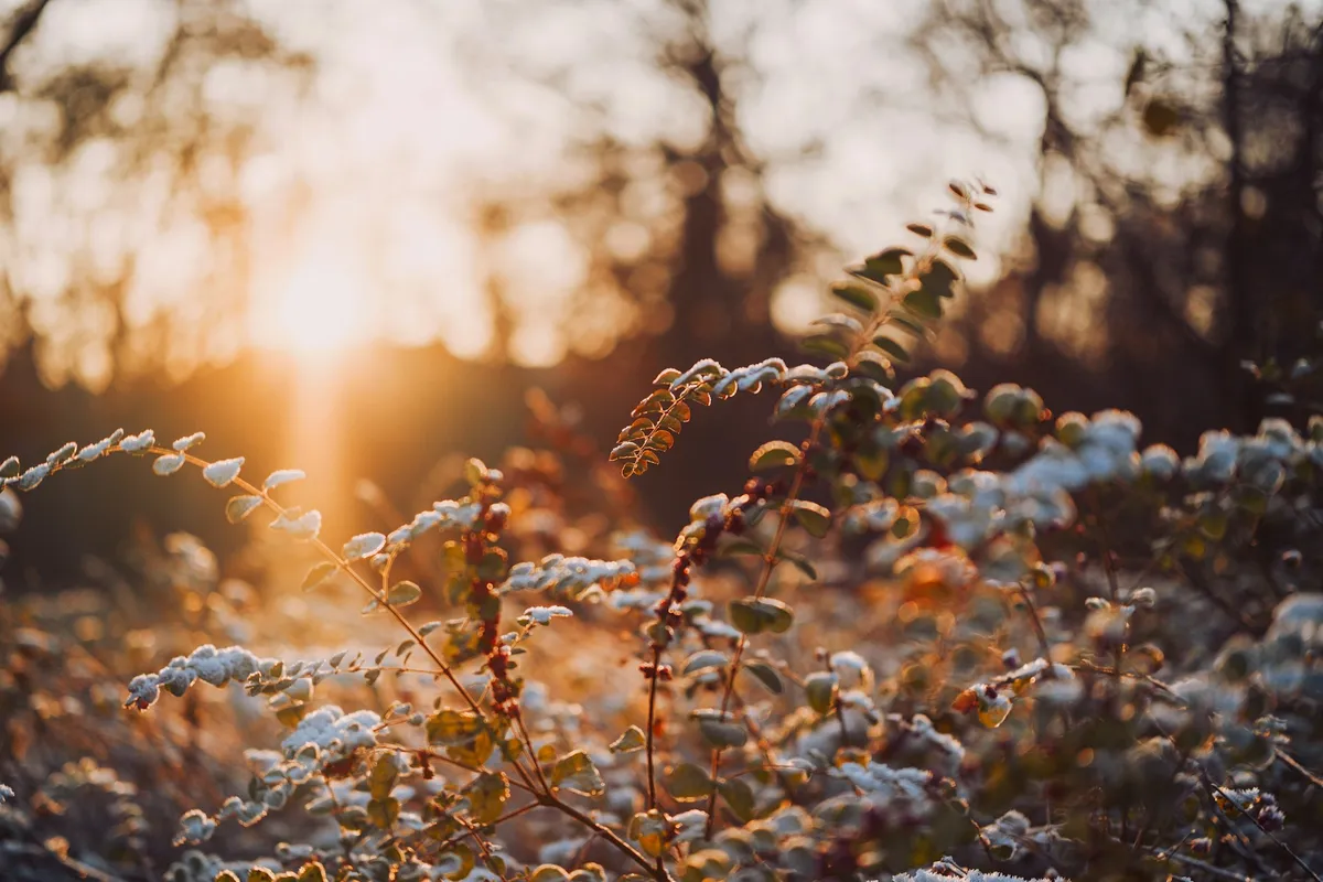 So!azy： 周末流水账 1130