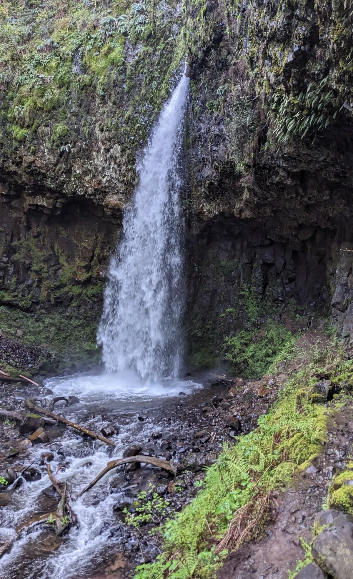 Latourell high falls