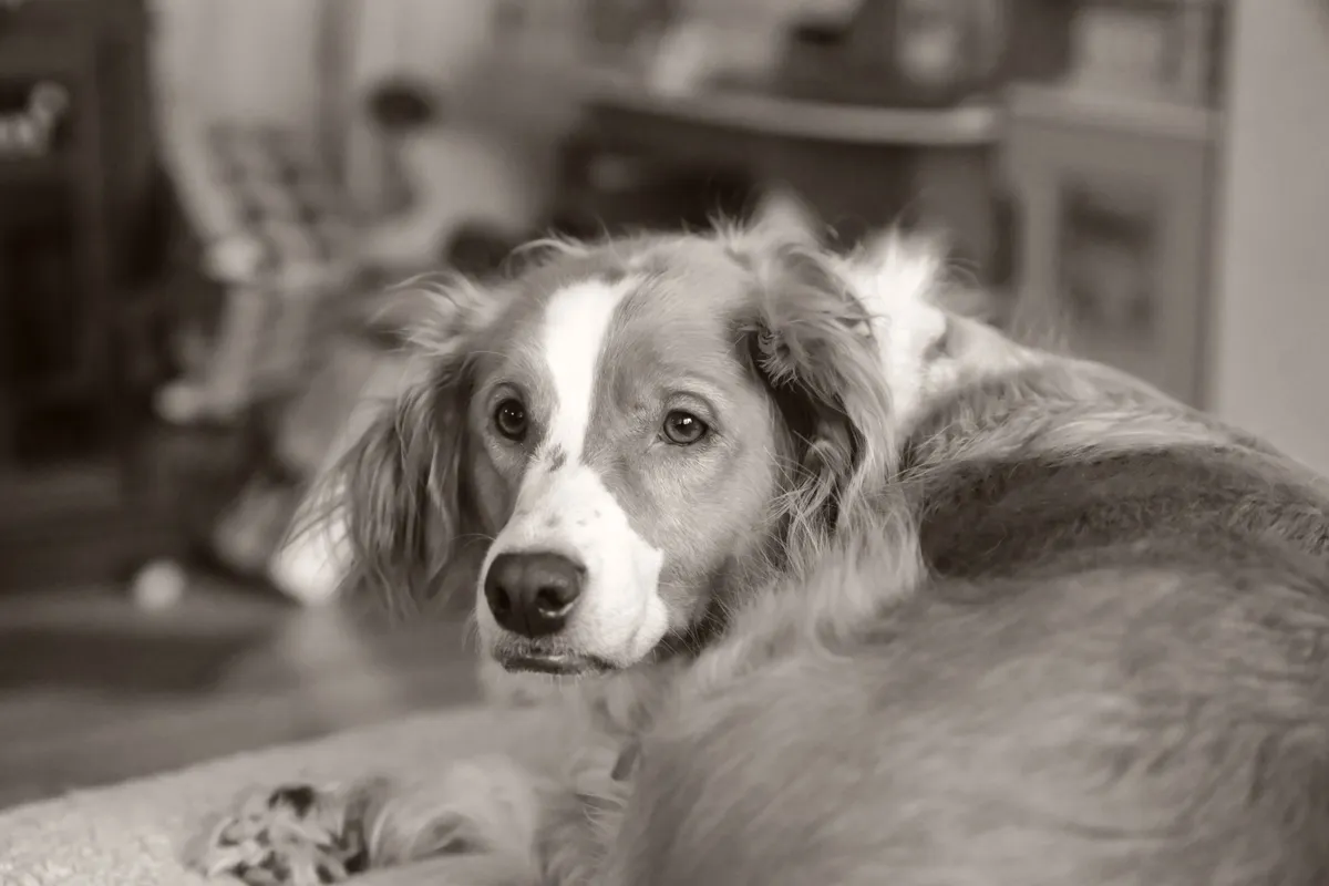 DSC_0174