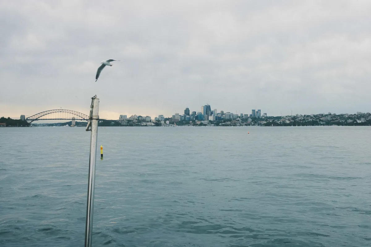 syd_harbour