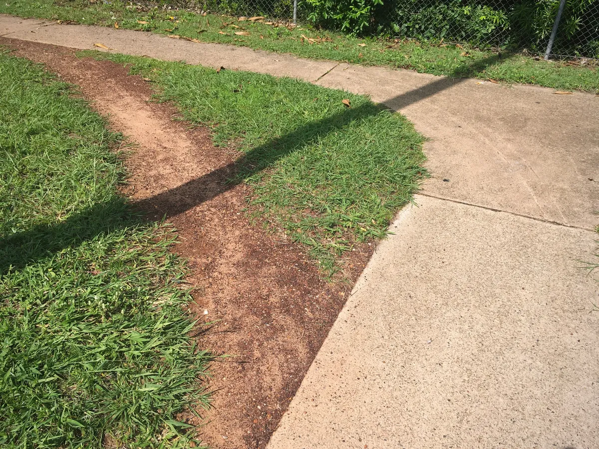 user_designed_route