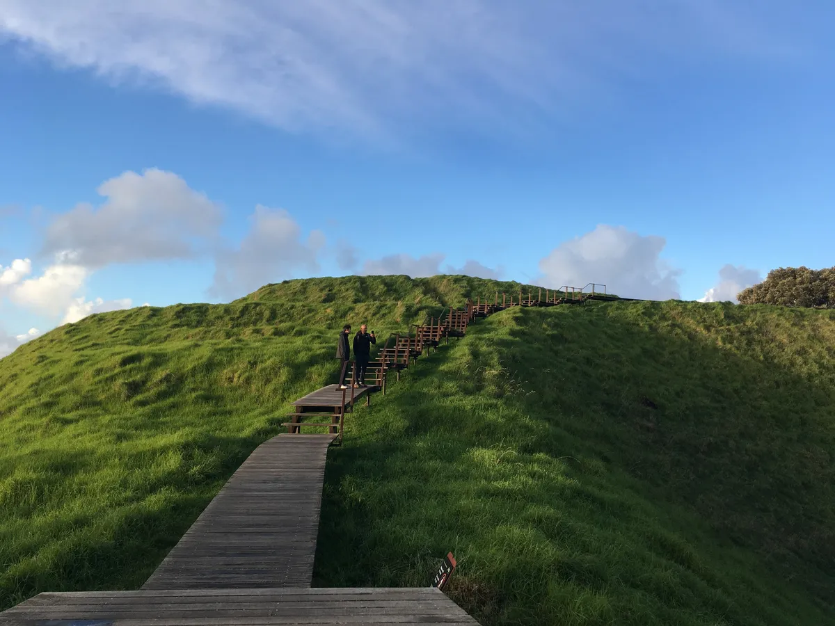 solo_nz