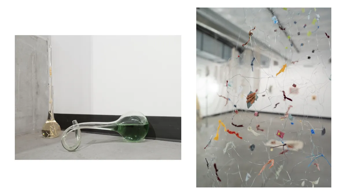 Illustrations 3 - export 2